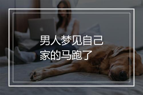 男人梦见自己家的马跑了