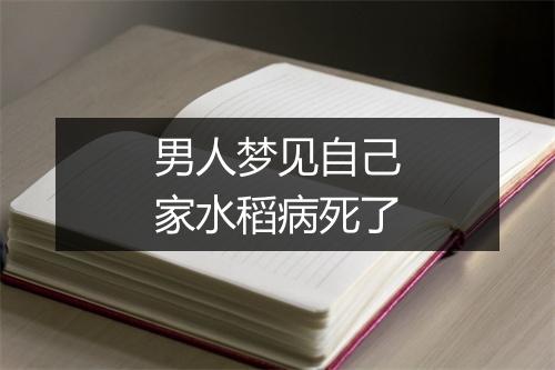 男人梦见自己家水稻病死了