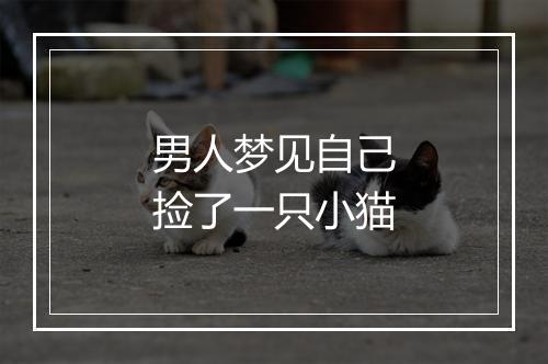 男人梦见自己捡了一只小猫