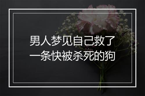 男人梦见自己救了一条快被杀死的狗