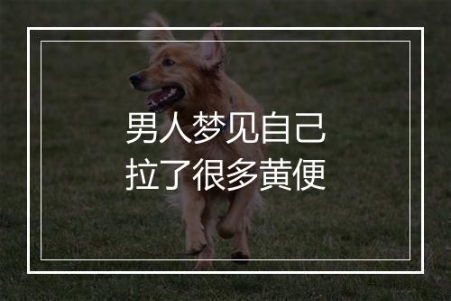 男人梦见自己拉了很多黄便