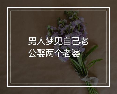 男人梦见自己老公娶两个老婆