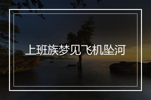 上班族梦见飞机坠河