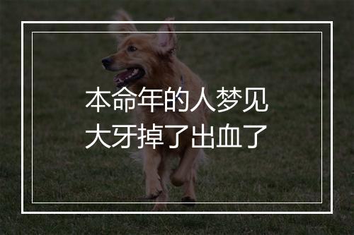 本命年的人梦见大牙掉了出血了