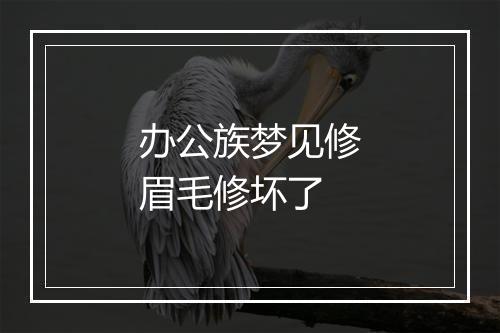 办公族梦见修眉毛修坏了