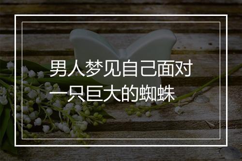 男人梦见自己面对一只巨大的蜘蛛