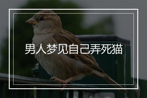 男人梦见自己弄死猫