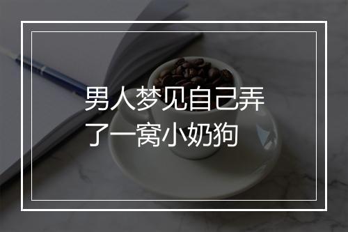 男人梦见自己弄了一窝小奶狗