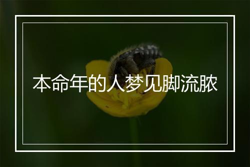 本命年的人梦见脚流脓