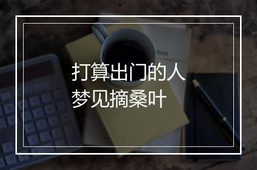 打算出门的人梦见摘桑叶