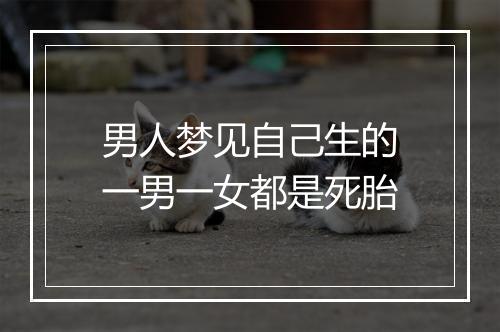 男人梦见自己生的一男一女都是死胎