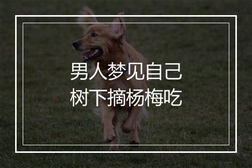 男人梦见自己树下摘杨梅吃