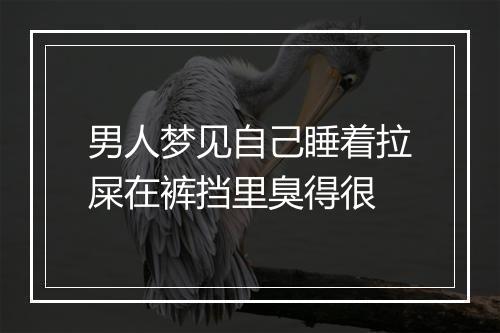 男人梦见自己睡着拉屎在裤挡里臭得很