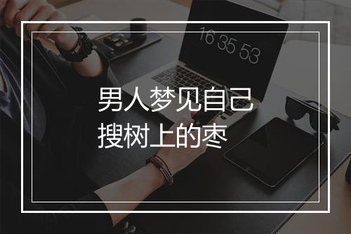 男人梦见自己搜树上的枣