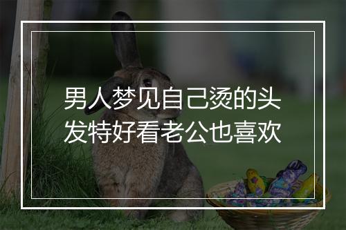 男人梦见自己烫的头发特好看老公也喜欢