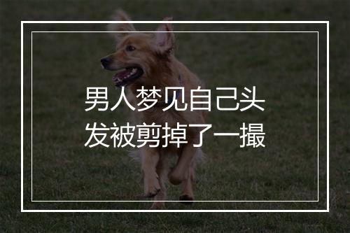 男人梦见自己头发被剪掉了一撮