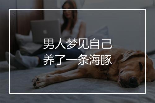 男人梦见自己养了一条海豚