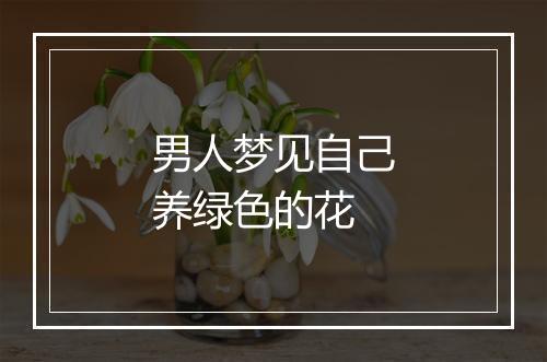 男人梦见自己养绿色的花