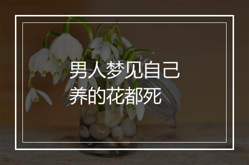 男人梦见自己养的花都死