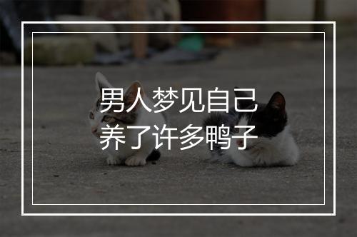 男人梦见自己养了许多鸭子