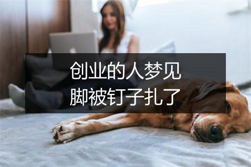 创业的人梦见脚被钉子扎了