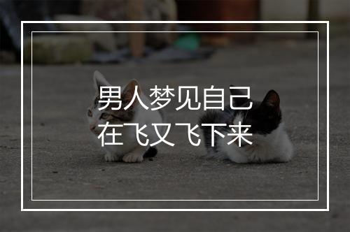 男人梦见自己在飞又飞下来