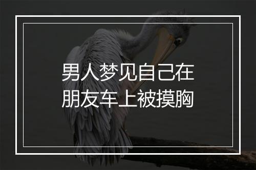 男人梦见自己在朋友车上被摸胸