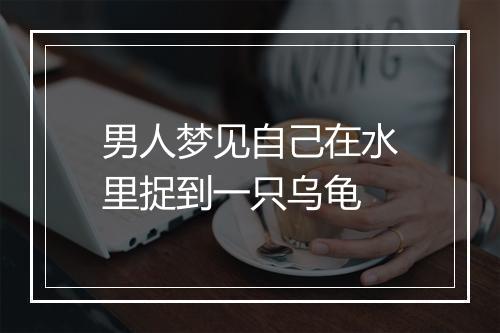 男人梦见自己在水里捉到一只乌龟