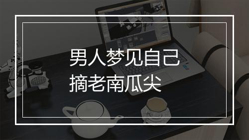 男人梦见自己摘老南瓜尖