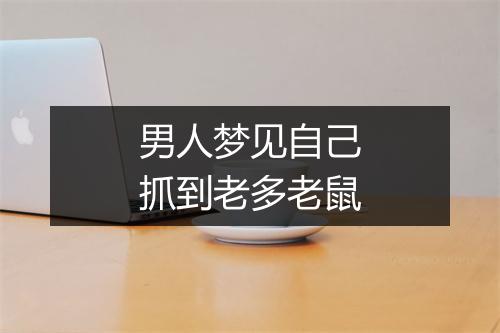 男人梦见自己抓到老多老鼠