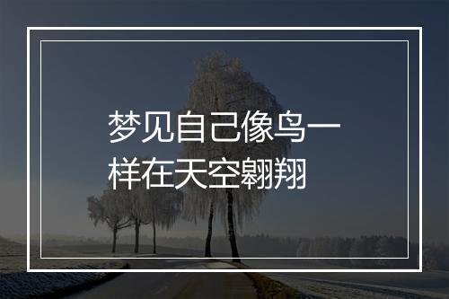 梦见自己像鸟一样在天空翱翔