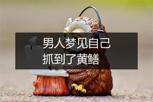 男人梦见自己抓到了黄鳝