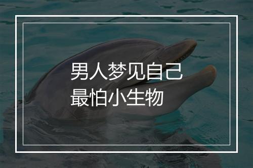 男人梦见自己最怕小生物