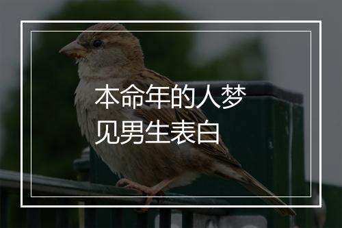 本命年的人梦见男生表白