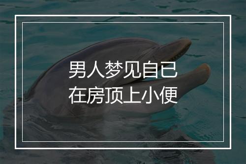 男人梦见自已在房顶上小便