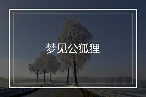 梦见公狐狸