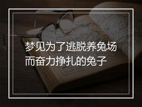 梦见为了逃脱养兔场而奋力挣扎的兔子