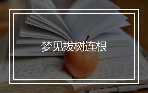 梦见拔树连根