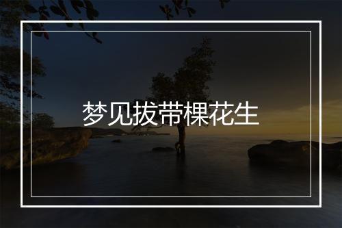 梦见拔带棵花生