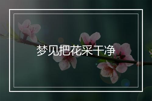 梦见把花采干净