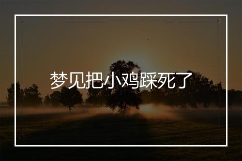 梦见把小鸡踩死了