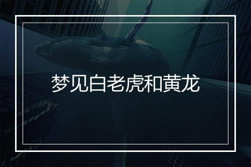 梦见白老虎和黄龙