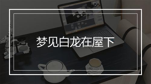 梦见白龙在屋下