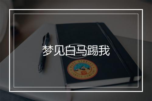 梦见白马踢我