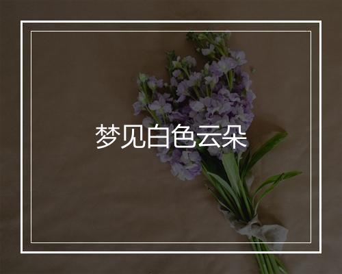 梦见白色云朵