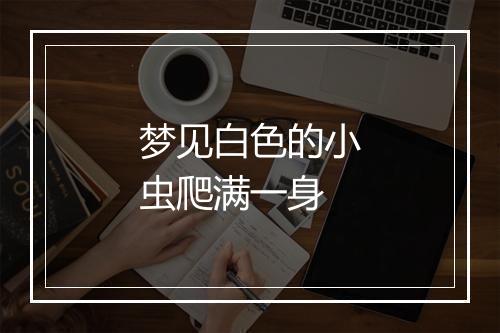 梦见白色的小虫爬满一身