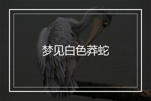 梦见白色莽蛇