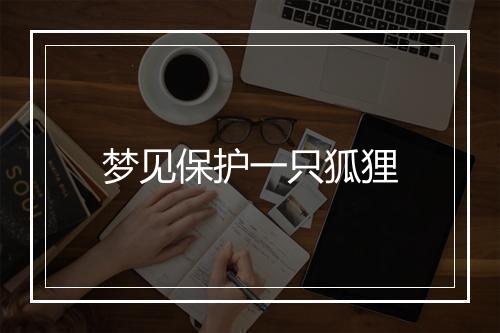 梦见保护一只狐狸