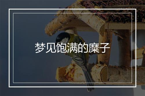 梦见饱满的糜子