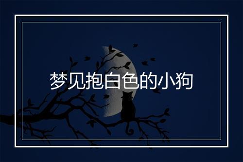 梦见抱白色的小狗